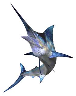 Sport Fishing Sport Fishing